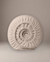 #farbe_beige